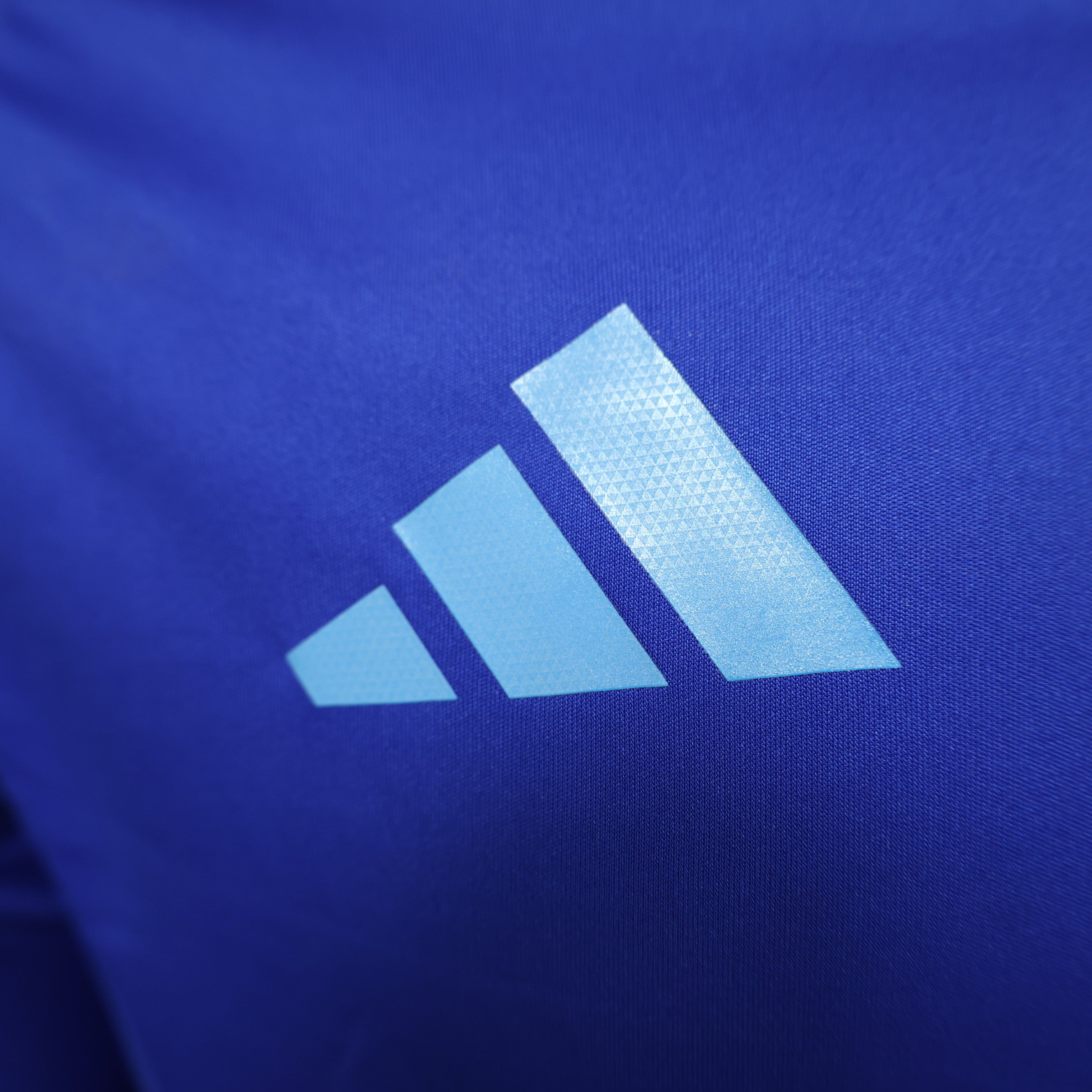 Maillot Version Player Manches Longues Argentine 2024/2025