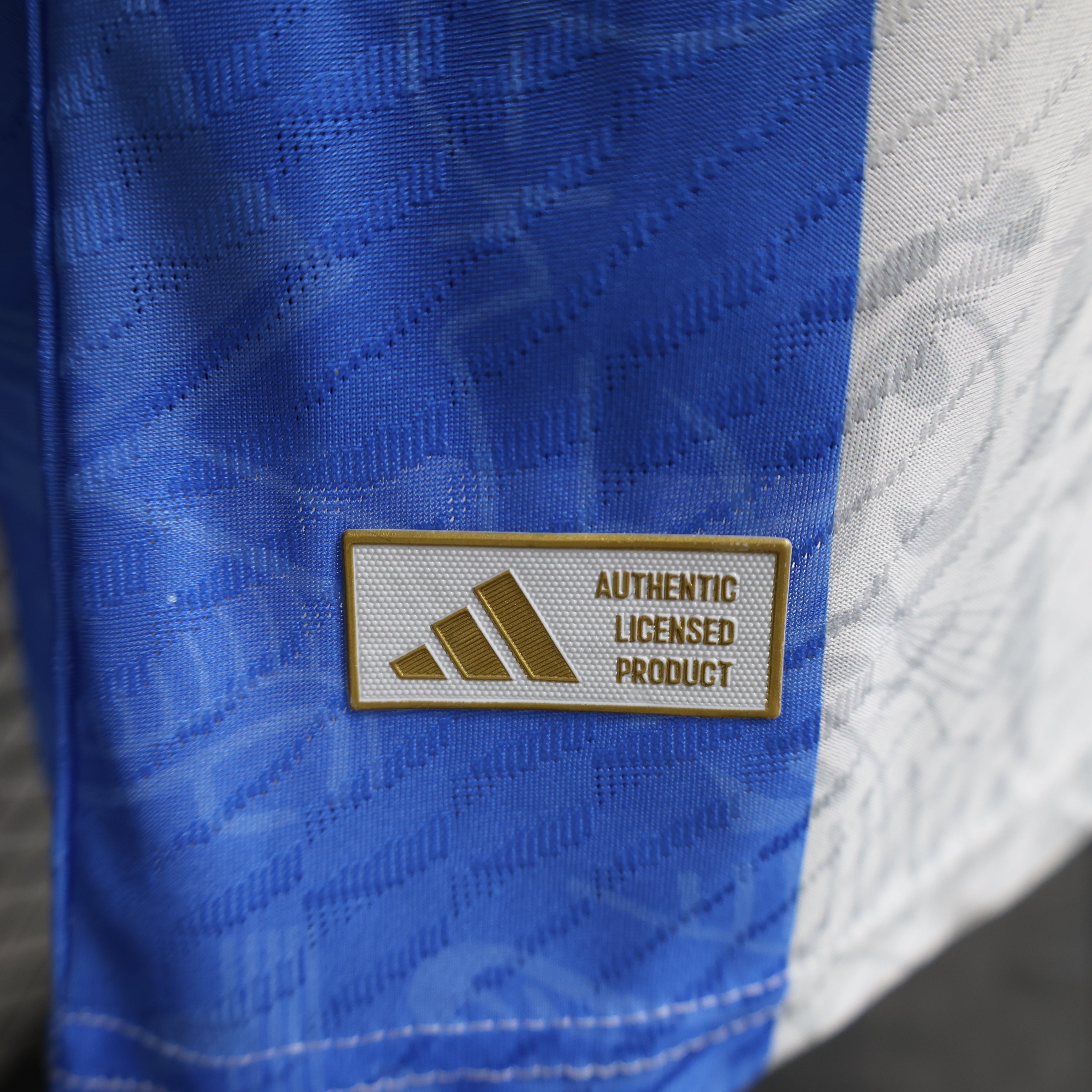 Maillot Version Player Argentine 2024/2025