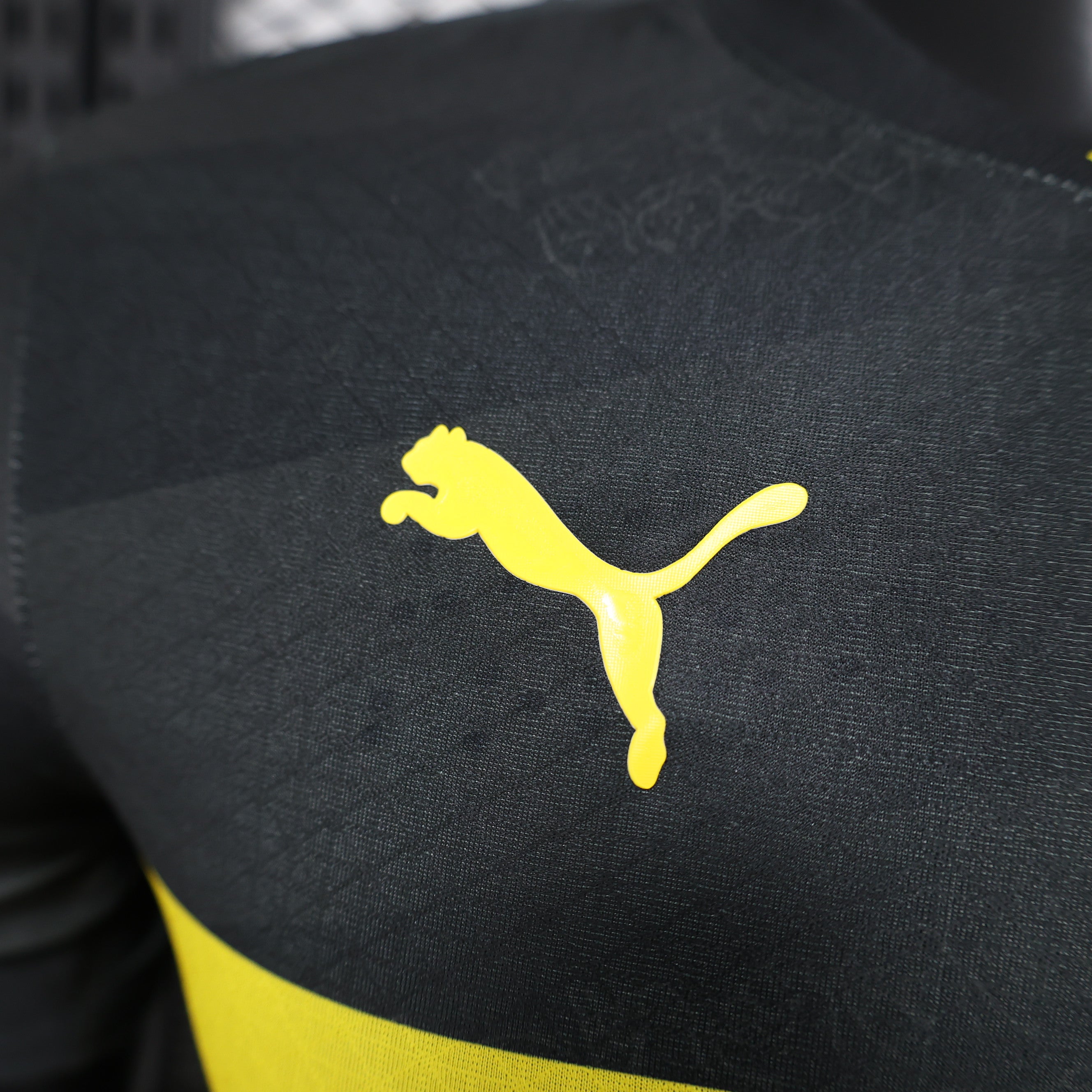 Maillot Version Player Dortmund 2024/2025