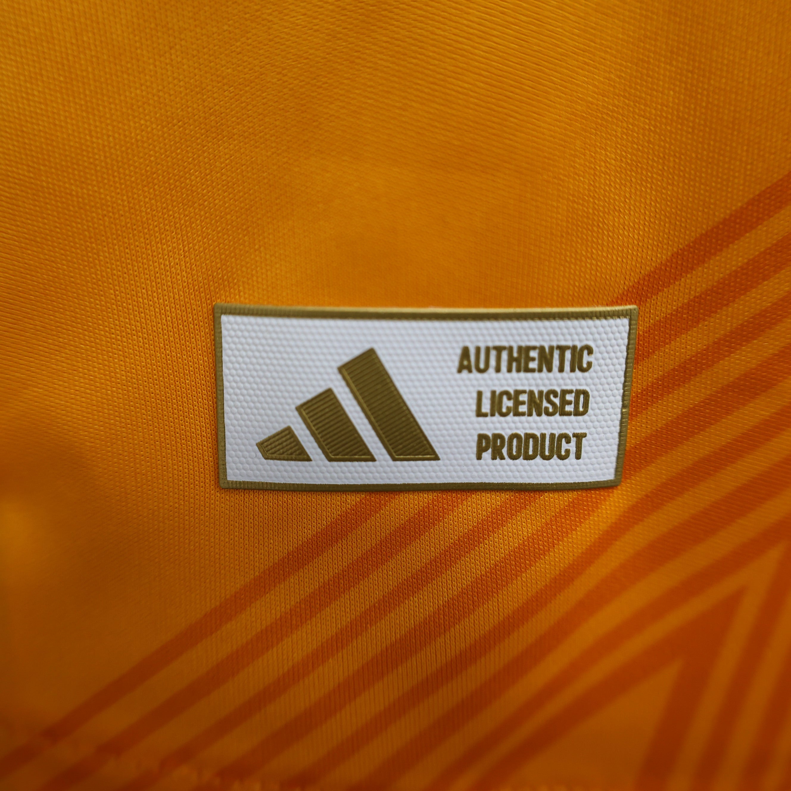 Maillot Version Player Manches Longues Real Madrid 2024/2025