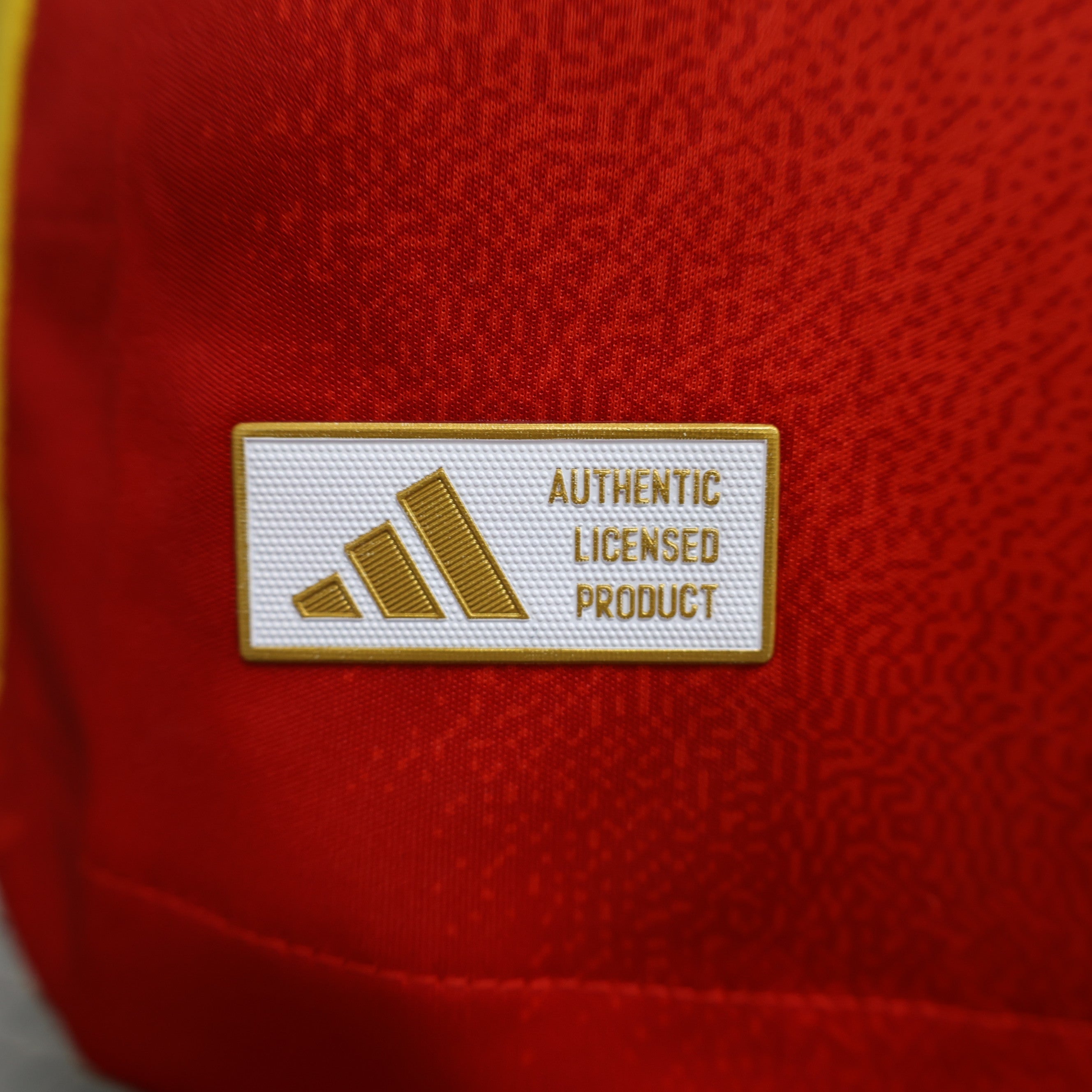 Maillot Version Player Manches Longues Espagne 2024/2025