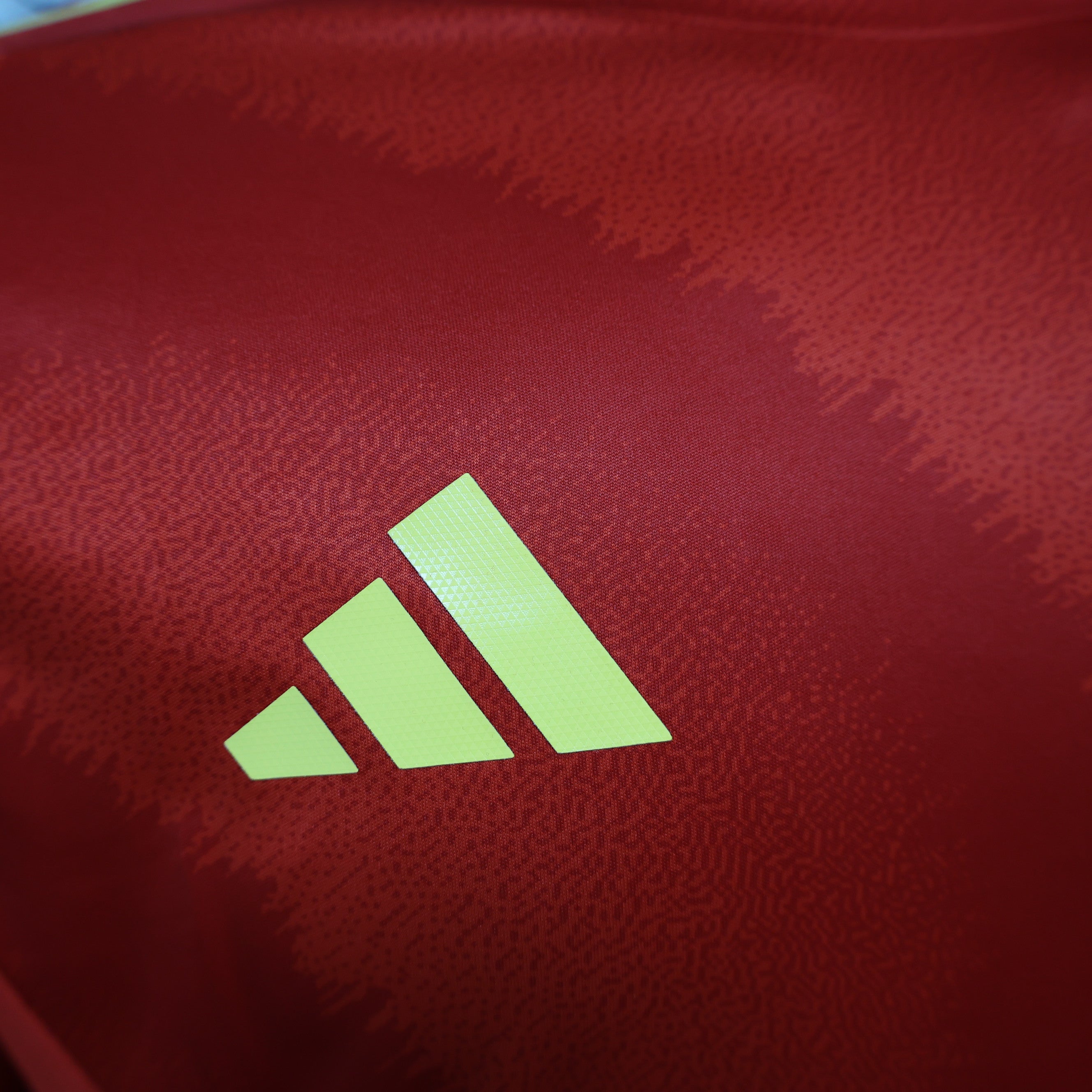 Maillot Version Player Manches Longues Espagne 2024/2025