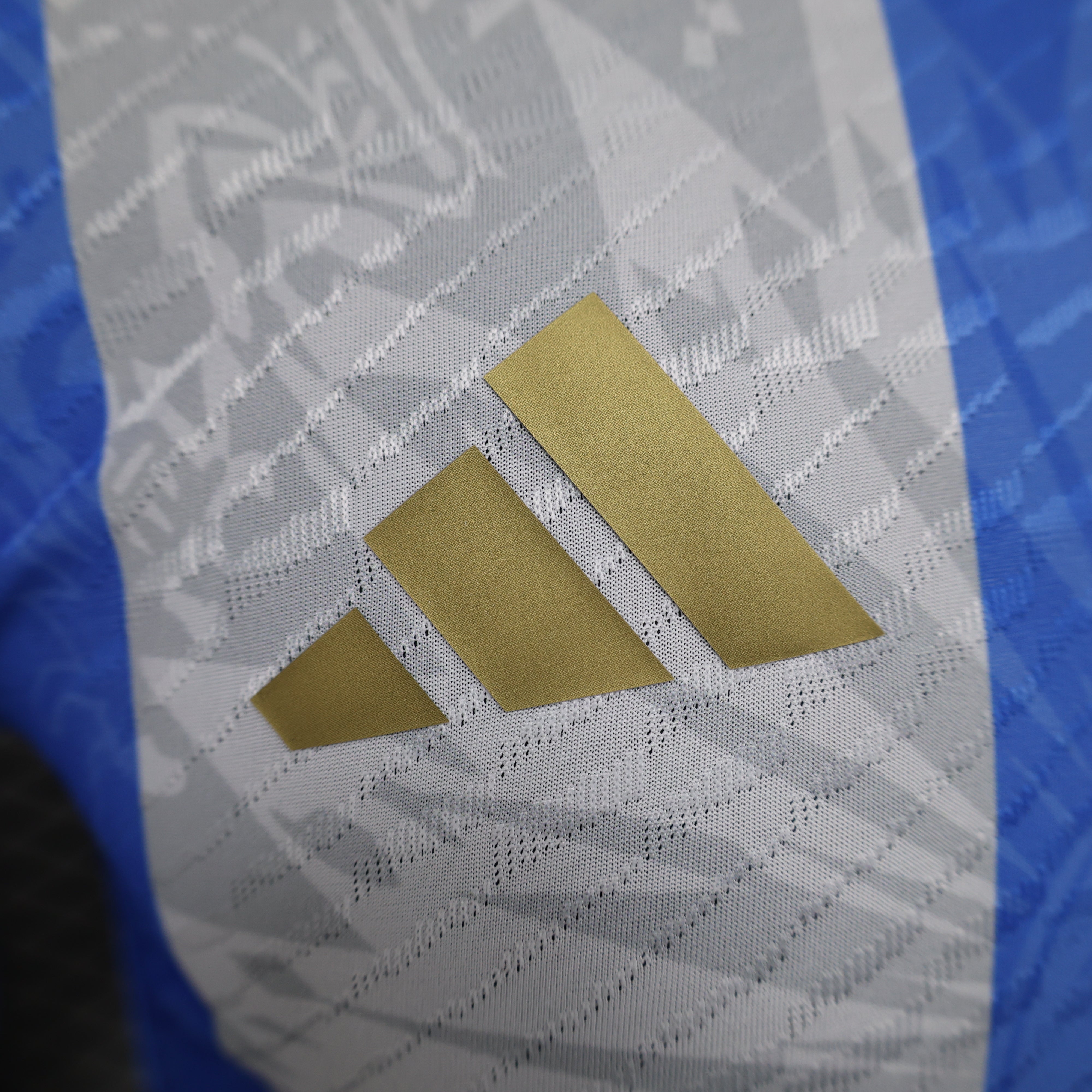 Maillot Version Player Argentine 2024/2025