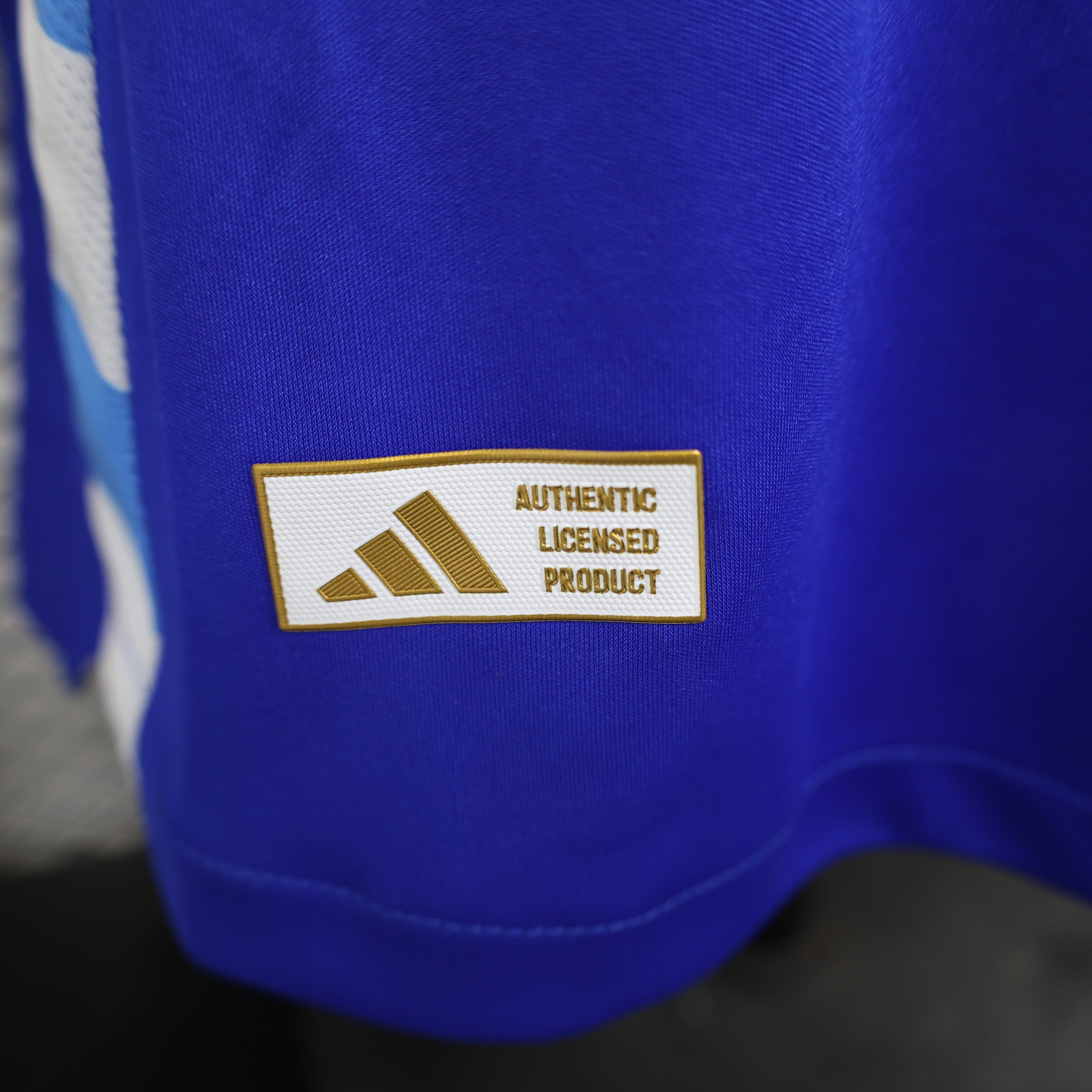 Maillot Version Player Manches Longues Argentine 2024/2025