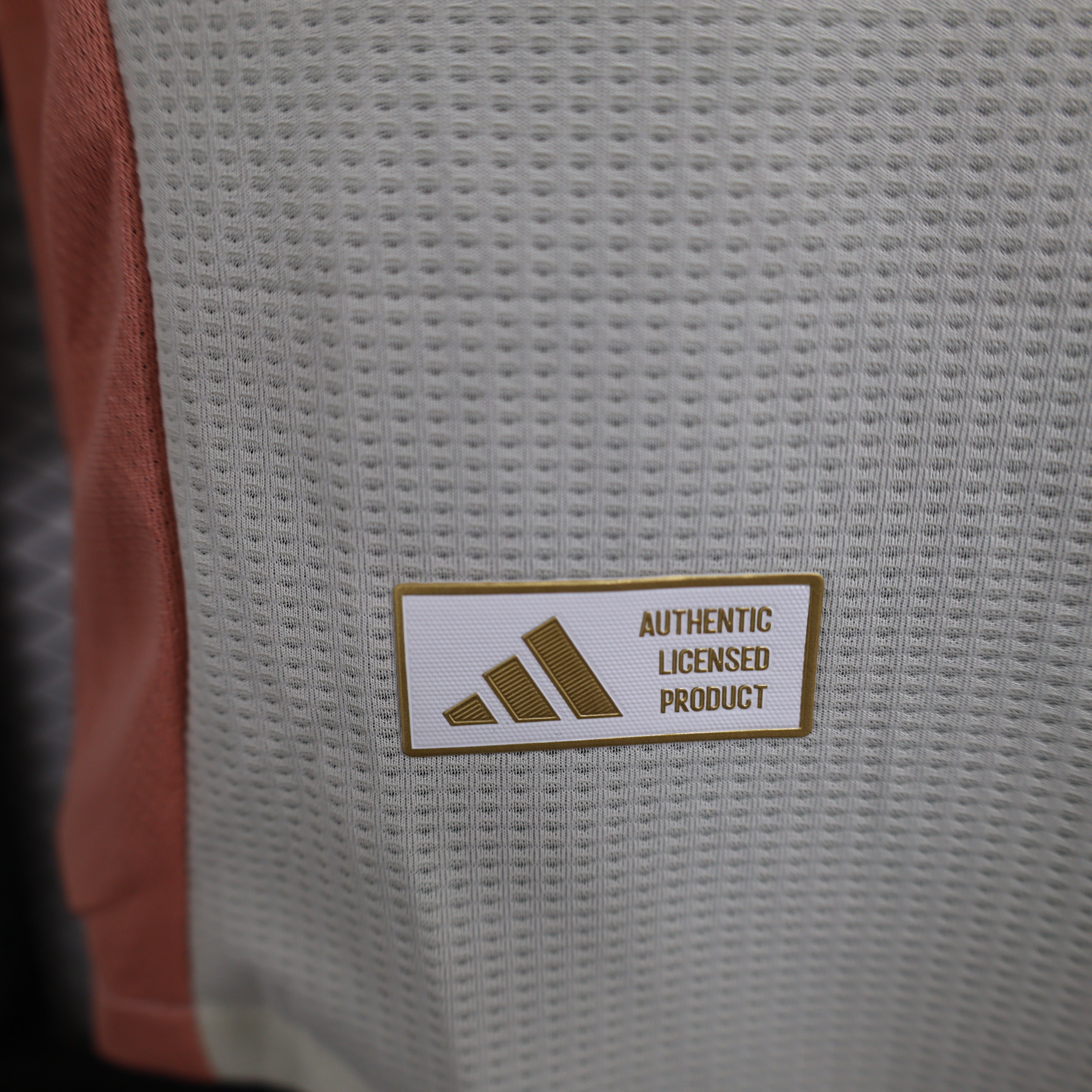 Maillot Version Player OL 2024/2025