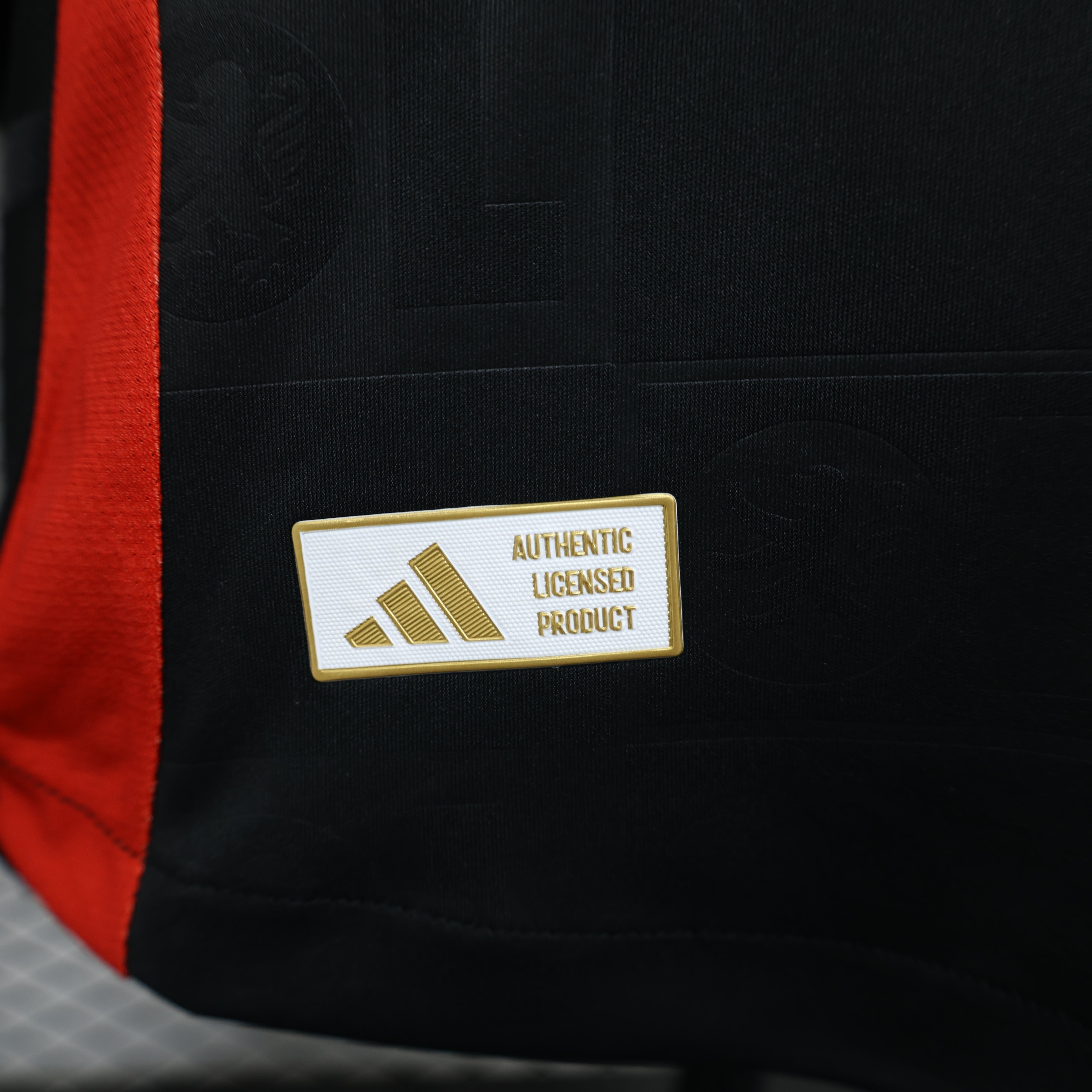 Maillot Version Player OL 2024/2025