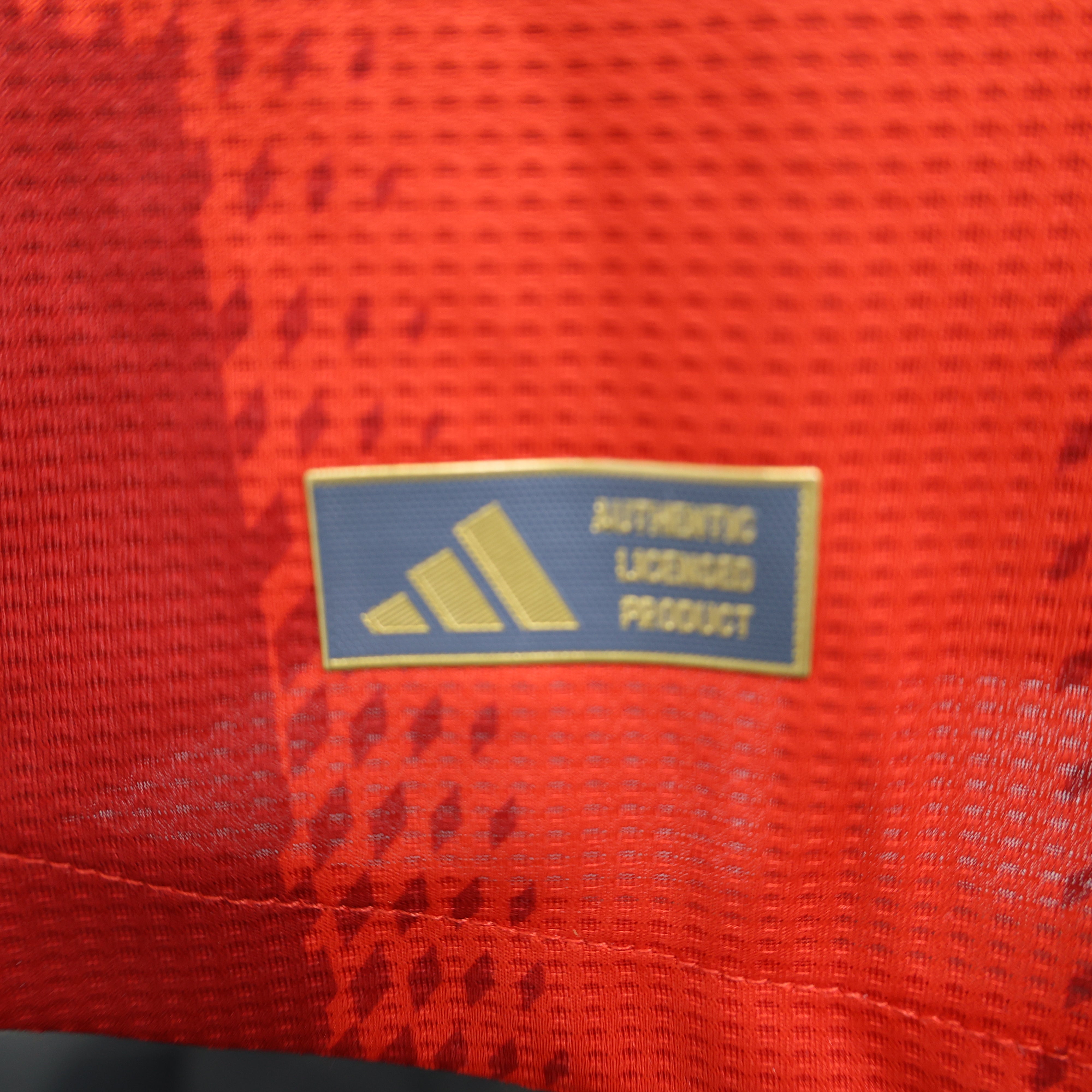 Maillot Version Player Manches Longues Bayern Munich